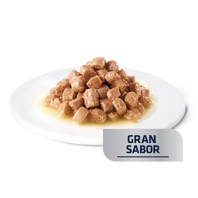 Advance Gastroenteric Pollo sobre para Gatos