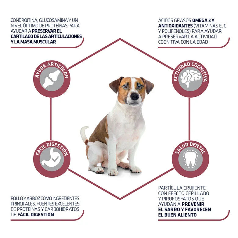 Advance Senior Mini +8 Pollo y Arroz - Pienso para Perros