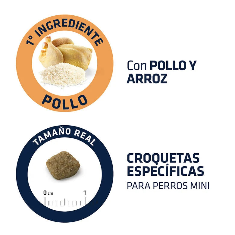 Advance Senior Mini +8 Pollo y Arroz - Pienso para Perros