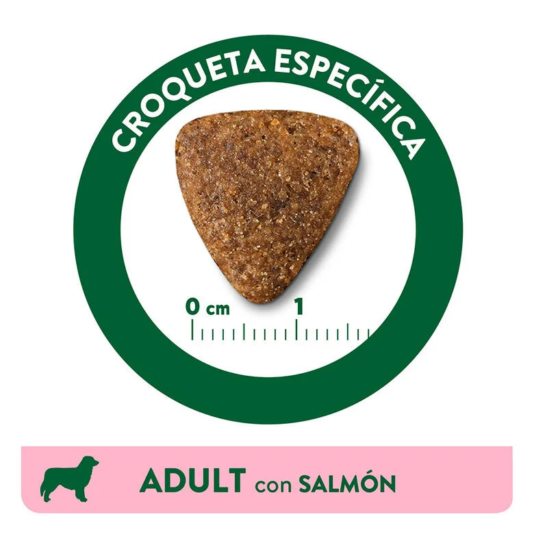 Libra Adult Salmón - Pienso para Perros