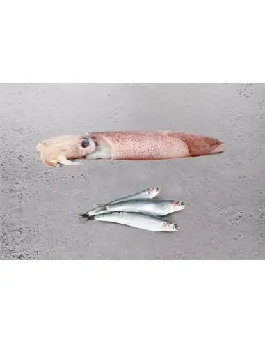 OCEAN Pacific, Anchoveta y Calamar - Comida para Perros
