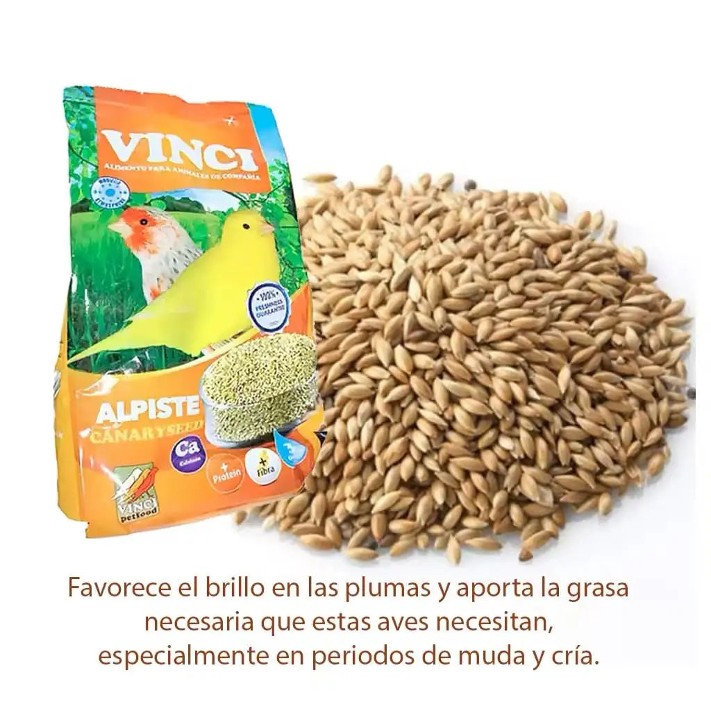 Vinci Semillas Alpiste para Canarios y Fringílidos - Alpista para pájaros