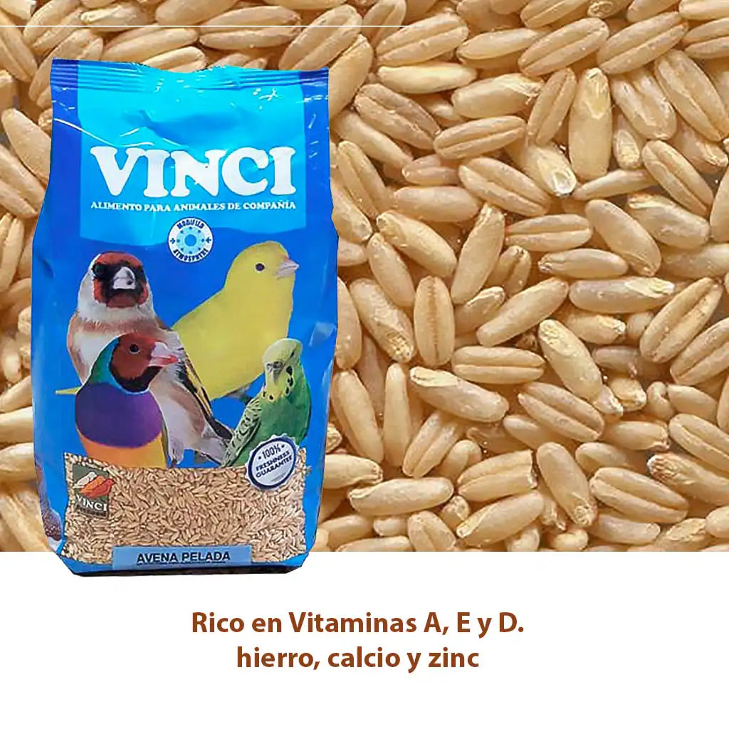 Vinci Alimentacion para Canarios, Jilgueros y otras aves de jaula - Exóticos