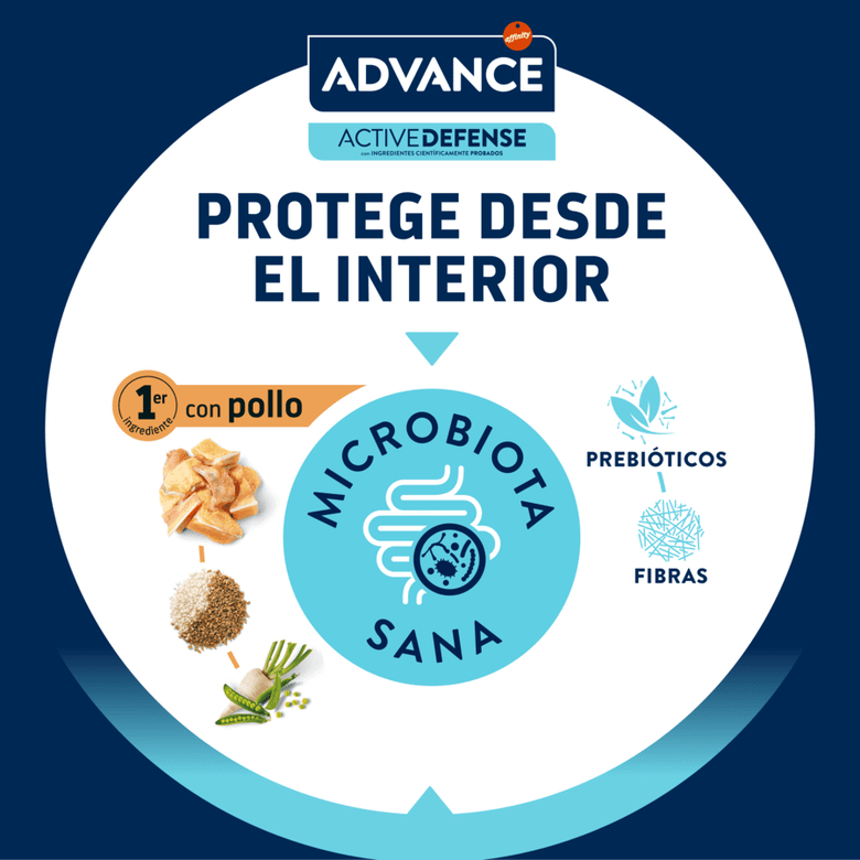 Advance pollo y arroz - Pienso para Gatos adultos